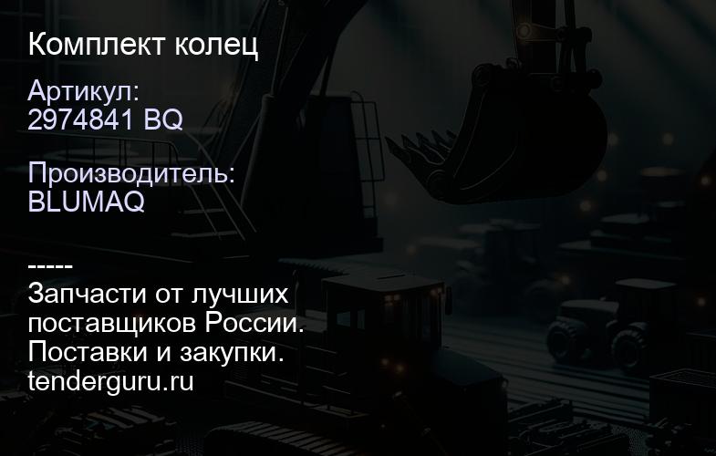 2974841 BQ Комплект колец | купить запчасти